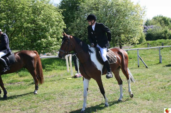 Akademickie Mistrzostwa Województwa Kujawsko-Pomorskiego w Jeździectwie 2008 r.